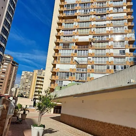 Provima Mallorca V